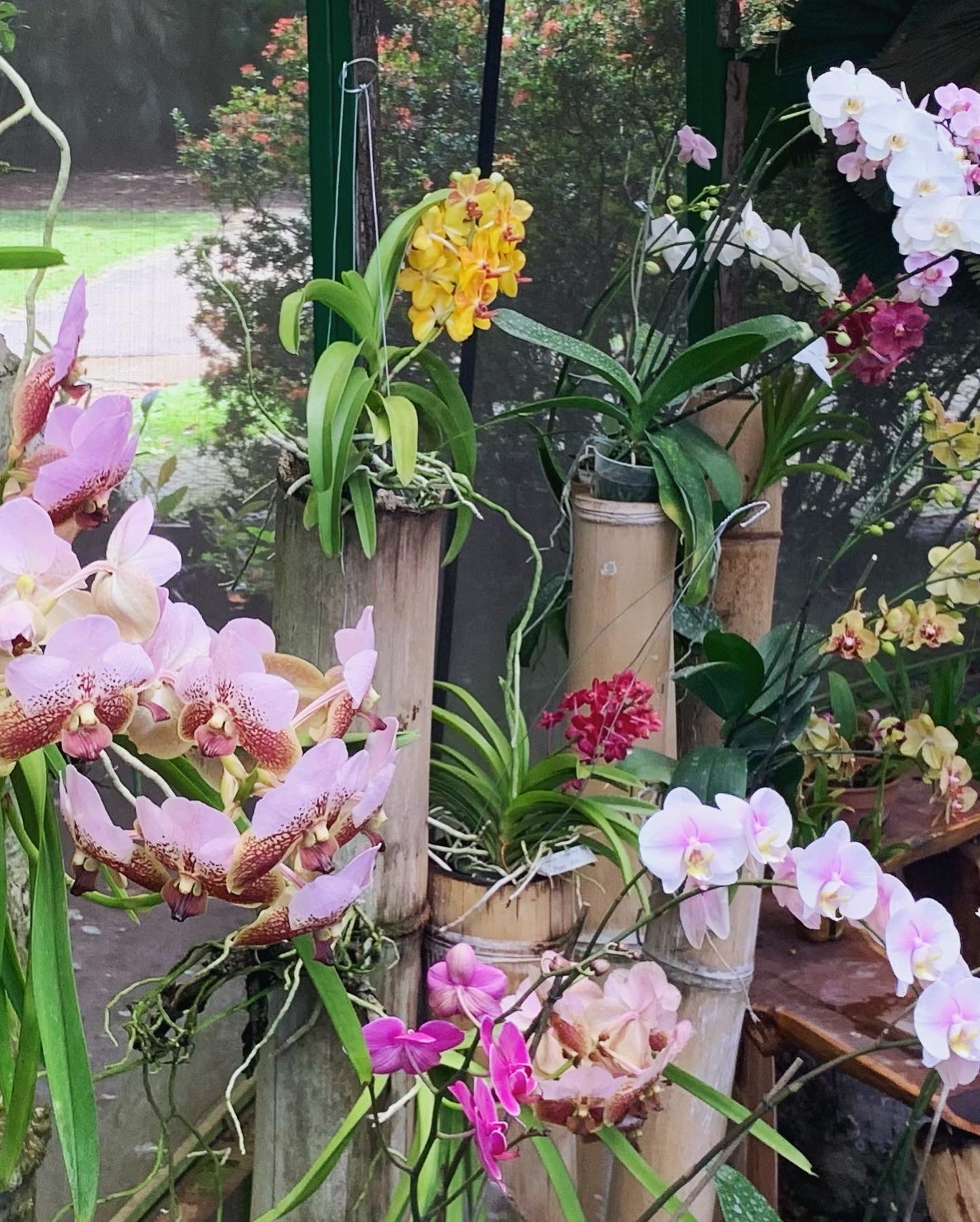 Services Botanical Orchid Garden La Garita